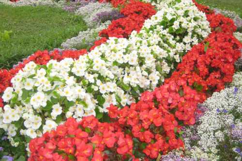 Közterület és Parkfenntartás