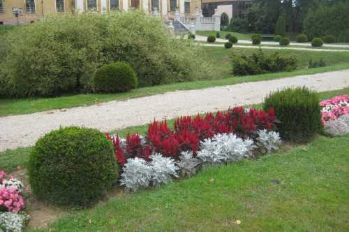 Közterület és Parkfenntartás