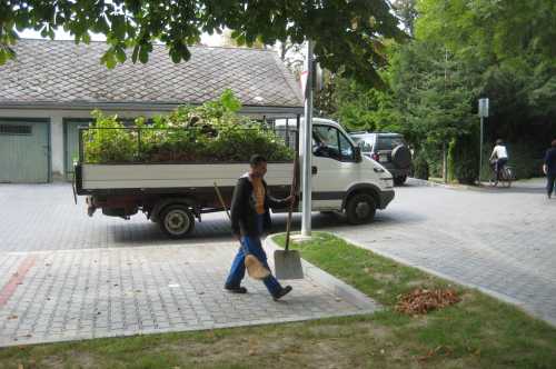 Közterület és Parkfenntartás